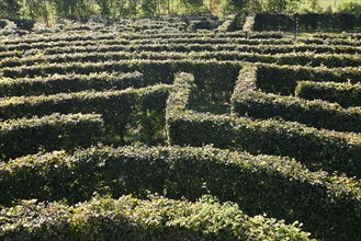France, Haute Normandie, Seine Maritime, pays de bray, massy, labyrinthe vegetal artmazia, fonde par l'artiste Geoff Troll,