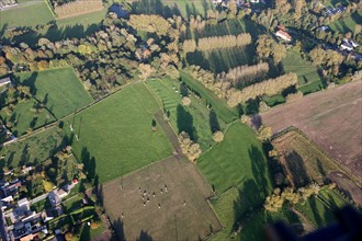 France, Haute Normandie, Seine Maritime, pays de la bresle maritime, survol de la vallee de la bresle maritime, champs, agriculture, bocage, arbres,