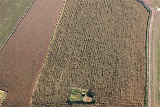 France, Haute Normandie, Seine Maritime, pays de la bresle maritime, survol de la vallee de la bresle maritime, champs, agriculture, bocage, arbres,