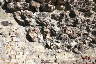 France, Haute Normandie, Seine maritime, arques la bataille, detail mur de silex, habitat traditionnel,