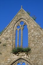 France, Bretagne, Cotes d'Armor, anse de Paimpol, abbaye de beauport, vestiges, ruine, ogive, voute, vieilles pierres,