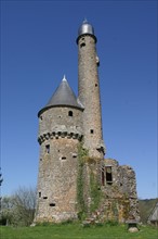 France, Basse Normandie, orne, juvigny sur andaine, tour de bonvouloir, donjon, vestige,