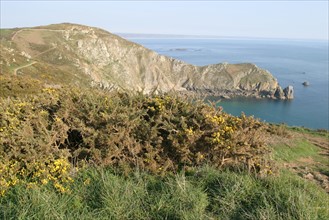 France, Basse Normandie, Manche, Cotentin, cap de la hague, nez de jobourg, falaise, pointe, lande, paysage, panorama,