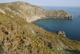 France, Basse Normandie, Manche, Cotentin, cap de la hague, nez de jobourg, falaise, pointe, lande, paysage, panorama,