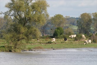 France, vallee de la seine