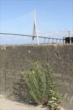 France, normandy bridge