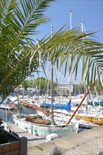 France, Bretagne, Morbihan, lorient, port de plaisance, bassin, bateaux de plaisance, 
 quai des indes,