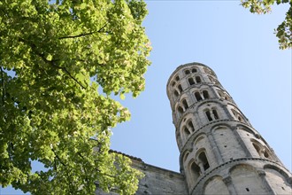 France, languedoc roussillon, gard, uzes, tour Fenestrelle et la cathedrale Saint Theodorit, arbre,