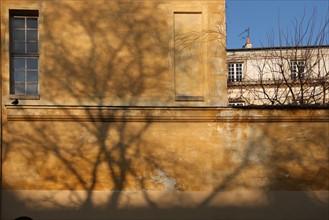 France, ile de france, paris 3e, le marais, rue payenne, hotel de chatillon, effet d'ombre d'un arbre sur le mur, l'arbre et la ville, hotel particulier,