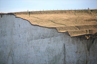 France, somme, entre picardie et Normandie, le bois de cise, vue sur la cote et les falaises, cote d'albatre,