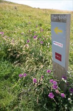 France, picardie, somme, ault, pays de la bresle maritime, chemin des douaniers, promenade, randonnee, panorama, vent, vagues,