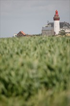 France, picardie, somme, ault, pays de la bresle maritime, chemin des douaniers, promenade, randonnee, panorama, vent, vagues, mais, phare,