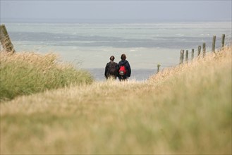 France, picardie, somme, ault, pays de la bresle maritime, chemin des douaniers, promenade, randonnee, panorama, vent, vagues,