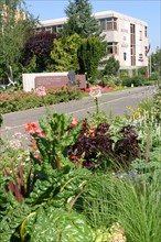 France, ile de france, essonne, massy, hotel de ville, institution, jardin, vegetation, charles de gaulle,