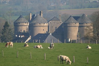 France, pays de loire, mayenne, lassay les chateaux, chateau fort, tours, pierre, medieval, hamps, vaches, agriculture, elevage bovin,