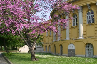 europe, bathhouse szechenyi