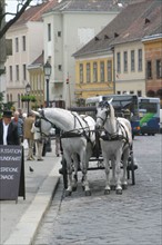 europe, Hongrie, budapest, caleches pres du chateau, Buda, chevaux, promenade touristique,