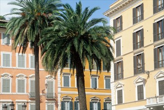 Italie, rome, piazza di spagna, place d'espagne, maisons, facades, volets, palmiers,