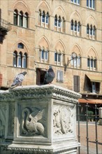 Italie, toscane, sienne, piazza del campo, place, campanile, palais public, sculpture, pigeons,