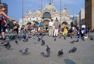 Italie, venise, place san marco, saint marc, pigeons, touristes, basilique san marco, edifice religieux,