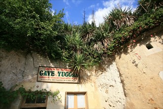France, centre, loir et cher, troo, cite troglodyte, cave 
cave yuccas
reconstitution d'un habitat troglodyte