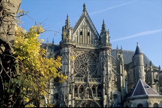 France, region picardie, oise, senlis, cathedrale notre dame, edifice religieux, tours, parvis, ville medievale, arbre, automne,