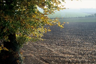 France, region picardie, paysage du valois, agriculture, tautomne, champs, brume, arbres, sillons,