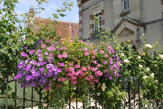 France, region ile de france, seine et marne, provins, cite medievale, maison, fleurs,