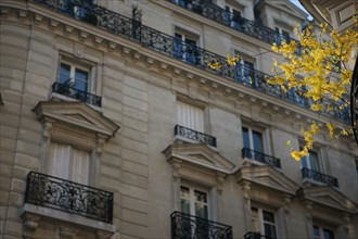 France, ile de france, paris 15e arrondissement, boulevard du montparnasse, arbuste fleuri jaune, balcon, square du croisic, immeuble,