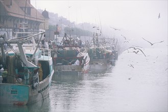 France, Basse Normandie, calvados, ote fleurie, trouville sur mer, retour de peche, chalutier, maquereau, brume, quai, mouettes,