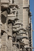 France, cathedral notre dame de paris
