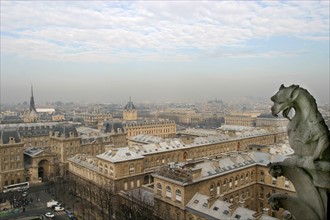 France, ile de france, paris 4e arrondissement, ile de la cite, cathedrale, notre dame de paris, chimere, vue sur le palais de justice et l'hotel dieu,