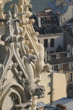 France, ile de france, paris 4e arrondissement, ile de la cite, cathedrale, notre dame de paris, detail figures, pinacles, tours,