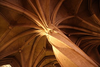 France, ile de france, paris 5e arrondissement, eglise saint severin, rue des pretres saint severin, detail deambulatoire, colonne torse, religion catholique, voute, nervure,