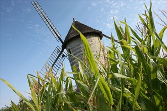 France, Haute Normandie, eure, pays du roumois, moulin a vent, 'Hauville farine, cereales, mais,