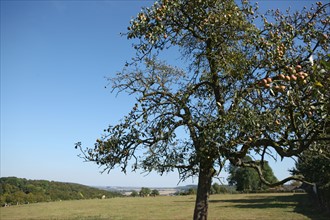 France, pays d'accueil touristique du pays de bray