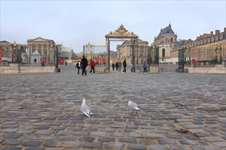 France, Ile de France, Yvelines, Versailles, chateau de Versailles, cour d'honneur, esplanade, paves, mouette rieuse devant le chateau,