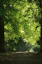 France, Parc Calouste Gulbekian