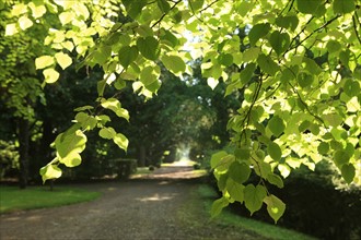 France, Parc Calouste Gulbekian