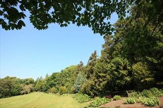 France, Basse Normandie, Calvados, Deauville, parc calouste gulbenkian, jardin arbore, nature, propriete de la ville de Deauville,