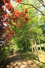 France, Parc Calouste Gulbekian