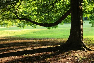 France, Parc Calouste Gulbekian