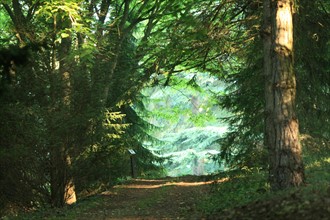 France, Parc Calouste Gulbekian