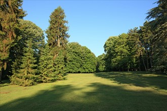 France, Basse Normandie, Calvados, Deauville, parc calouste gulbenkian, jardin arbore, nature, propriete de la ville de Deauville,