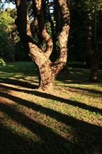 France, Parc Calouste Gulbekian