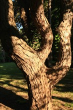 France, Parc Calouste Gulbekian