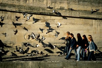 France, Ile de France, paris, 6e arrondissement, quai des grands augustins, adolescents et pigeons, groupe, oiseaux, bords de seine,