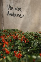 France, Ile de France, paris 15e arrondissement, rue de l'abbe groult, immeuble en retrait, graffiti, we are nature,
