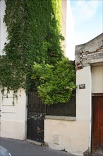 France, Garden on street