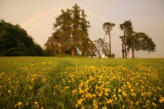 France, region centre, cher, sancerrois, pesselieres, arc en ciel, orage, meteo, rainbow, pluie, climat, arche, agriculture, champ, panneau, chemin, fleurs,